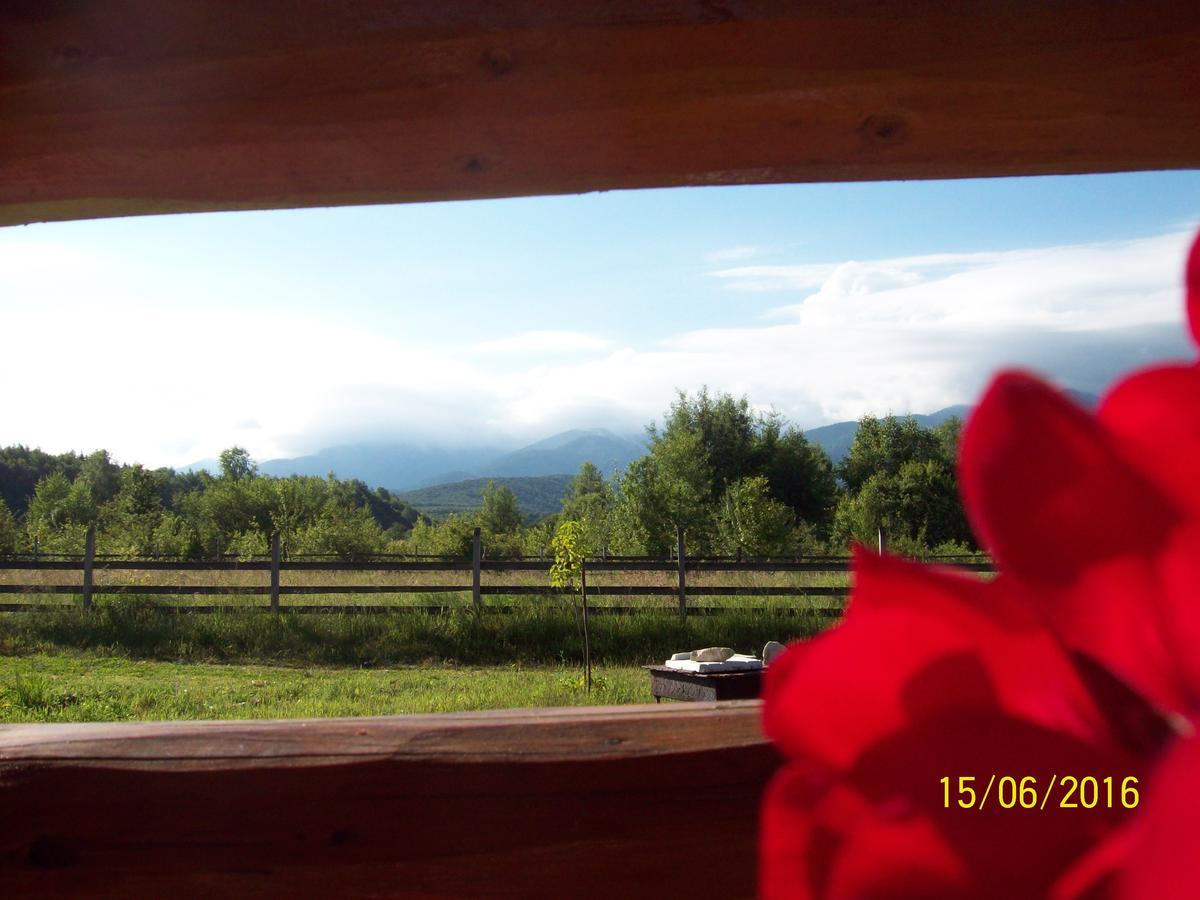 Musketeers Cabin Порумбаку-де-Жос Екстер'єр фото